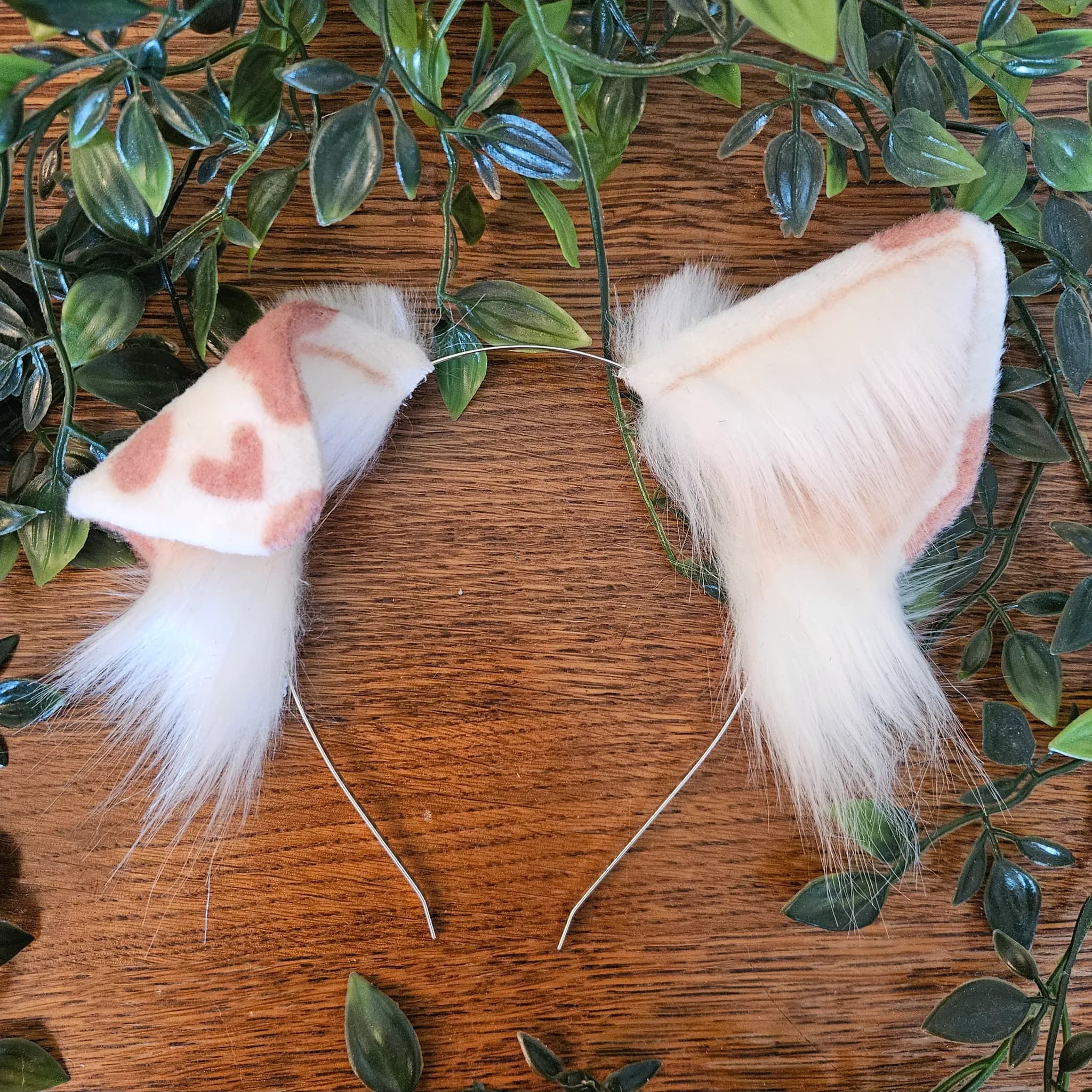 Dog ears