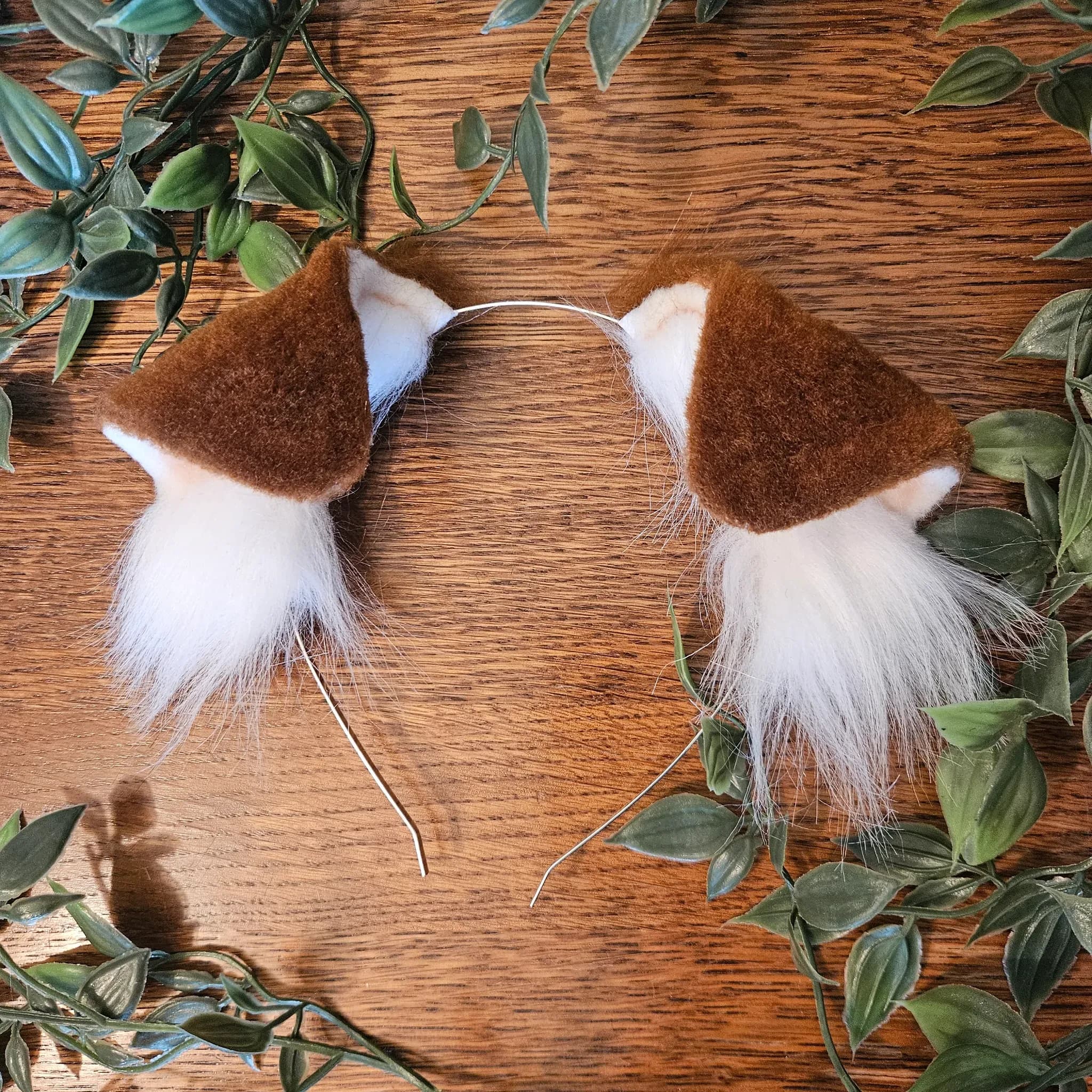 Dog ears