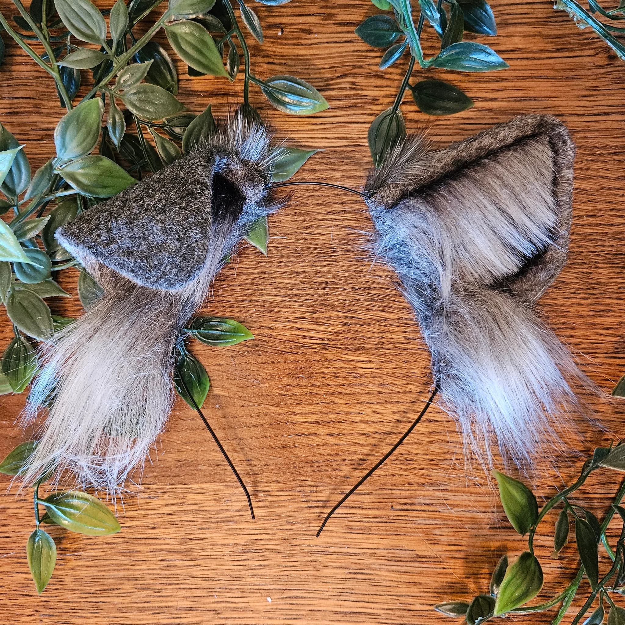 Dog ears